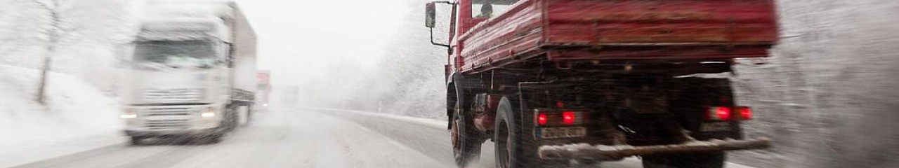 Борьба с гололедом по-пермски, или какие последствия от реагентов ждут горожан