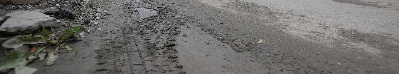 Петербург превращается в пустыню: чем обернулась «зима без соли»