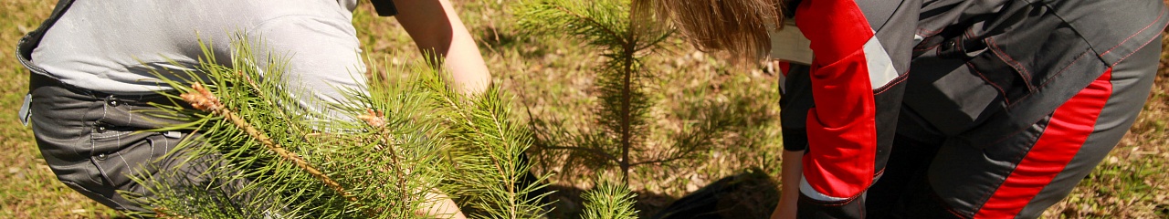 Совет молодежи УЗПМ принял участие в экологической акции по озеленению Краснокамска