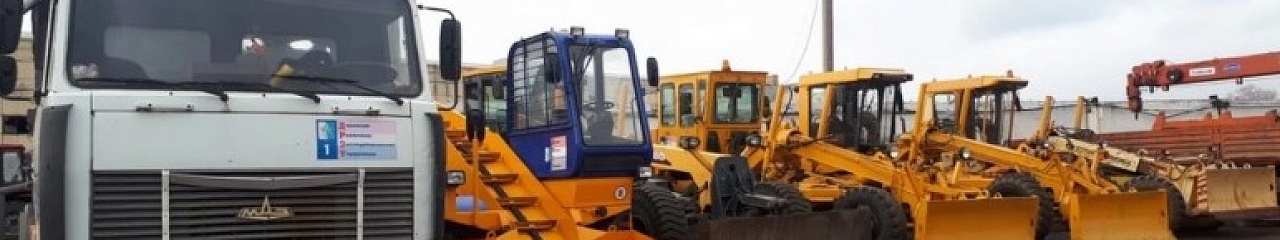 Бионорд справляется хорошо